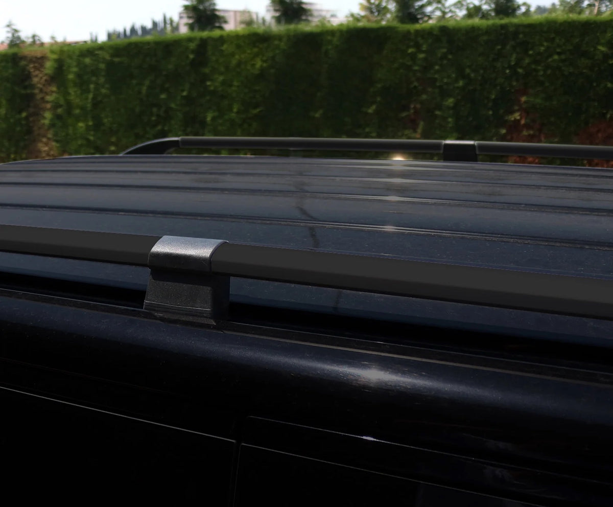 Dachreling Reling Fiat Ducato (Baujahr 2006 bis Heute) - Schwarz/Silber - Verschiedene Auswahl